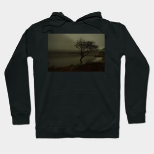 MIST OVER LLYN DINAS LONE TREE Hoodie